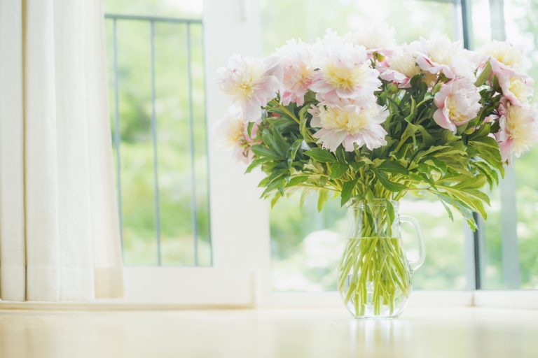 windows-with-flowers-spring